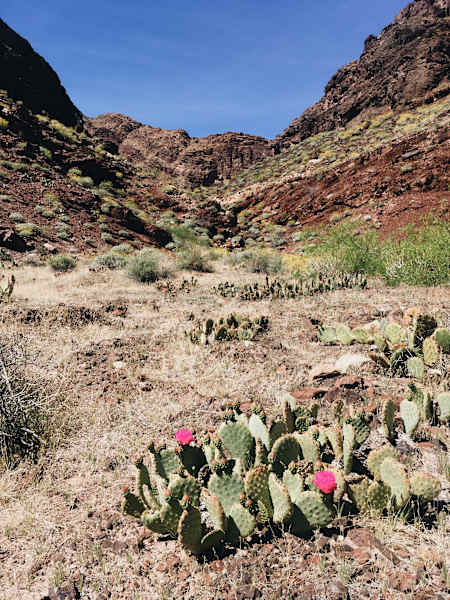 Ana Zirner Colorado Grand Canyon