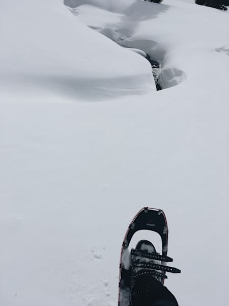 Ana Zirner Colorado River