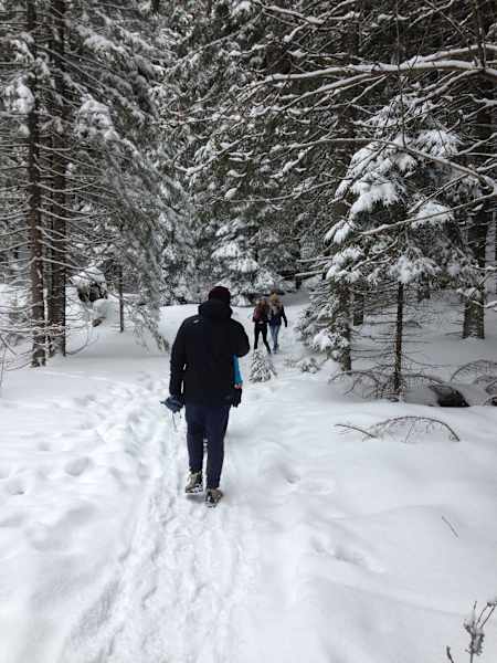 Zakopane Tatra Polen