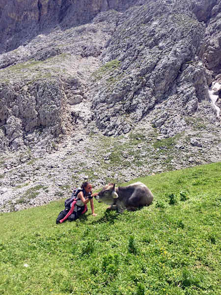 Adidas Terrex Mountain Project 2017