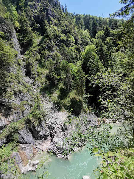 Die Tiefenbachklamm umgeben von Bäumen