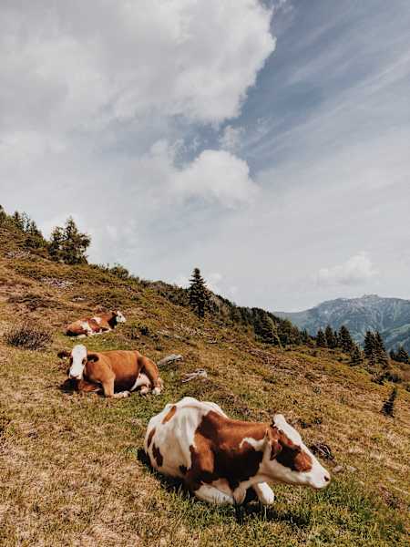 Ernst Merkinger wandert Gastein Trail