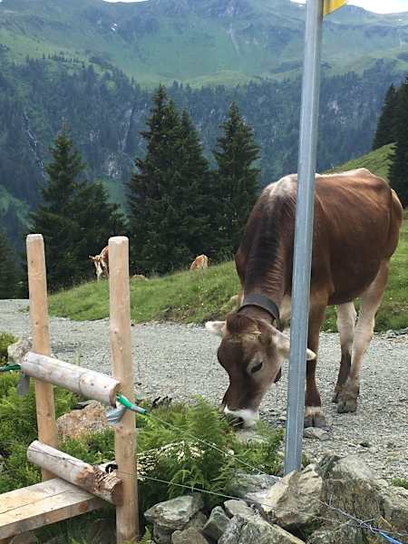 Bergwelten Hüttenwoche Saalbach Hinterglemm