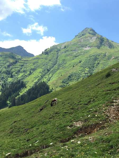 Bergwelten Hüttenwoche Saalbach Hinterglemm