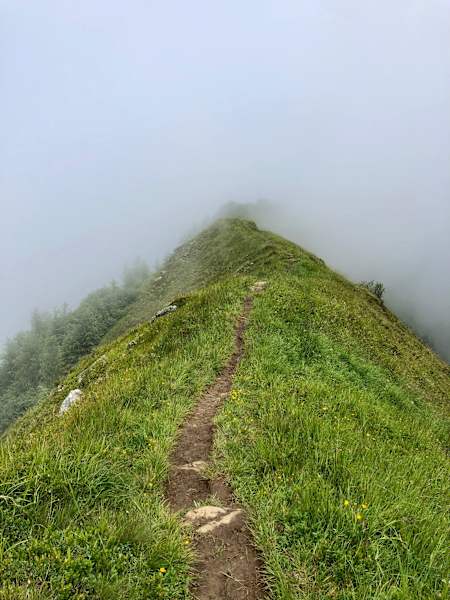 Wandertipp: Alexander Enzinger Weg