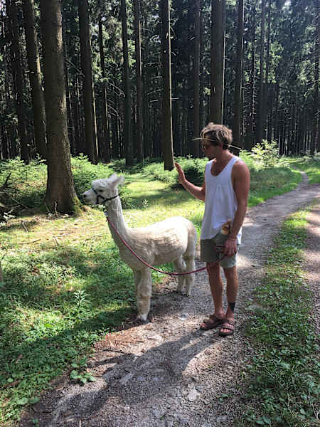 Alpakas Wandern