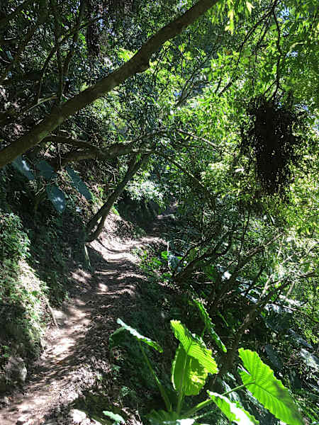Taroko Zhuilu Old Road Taiwan Blog Martin Foszczynski