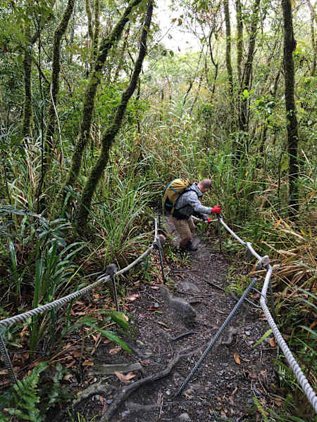 Taiwan Reise Lisong Hotspring Martin Foszczynski