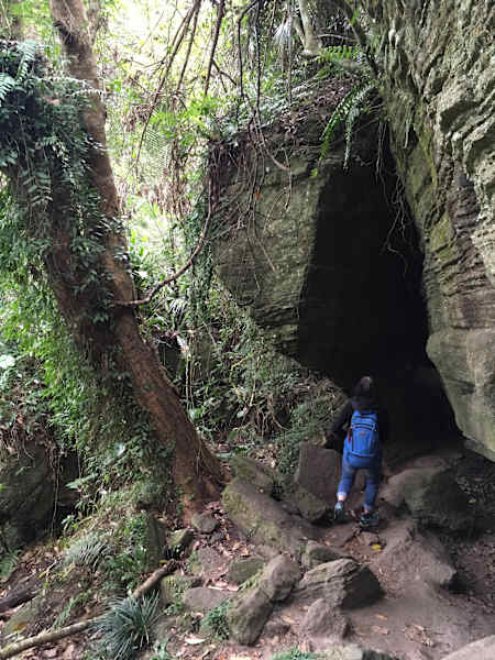 Luan Shan Forest Museum Taiwan Blog Martin Foszczynski