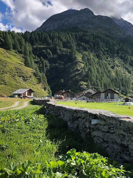 Isola Käserei Cadurisch