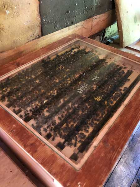 Alpbachtal Gratlspitze Sonnenaufgang