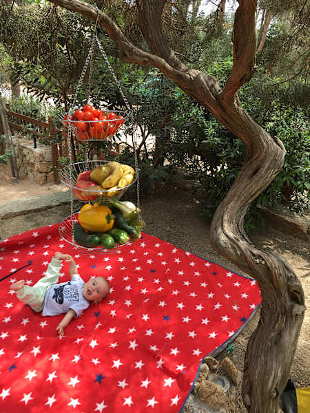 Campingreise mit Kindern VW California