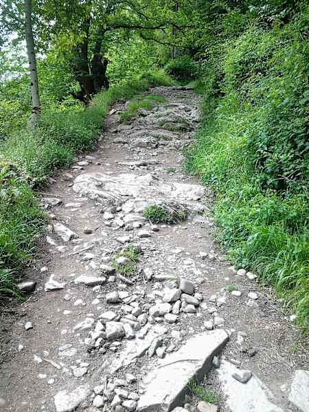 Nikolas Haugeneder Jakobsweg