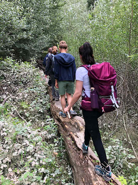 Nationalpark Donau-Auen