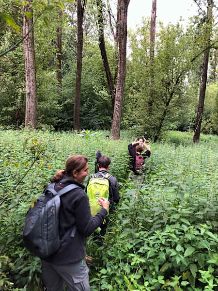 Nationalpark Donau-Auen