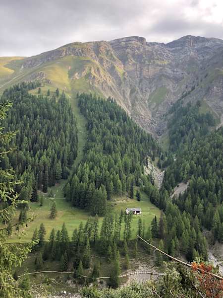 Schweizerischer Nationalpark