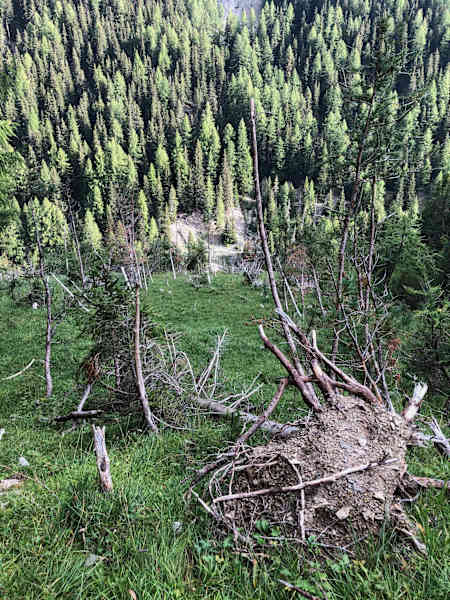 Schweizerischer Nationalpark