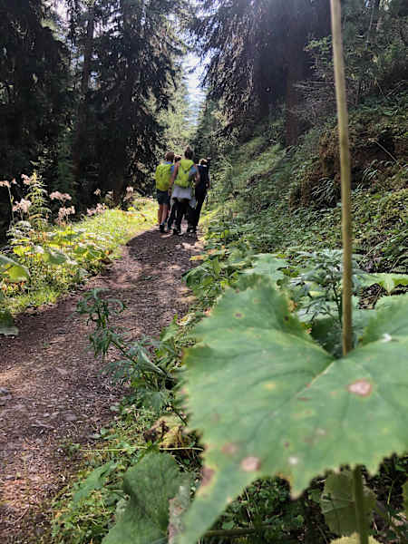 Schweizerischer Nationalpark