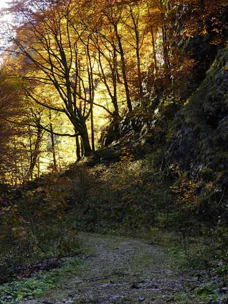Nationalpark Gesäuse „Indian Summer“