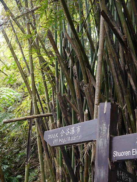 Taiwan Sandiaoling Waterfall Trail Martin Foszczynski
