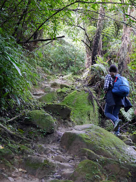 Taiwan Sandiaoling Waterfall Trail Martin Foszczynski