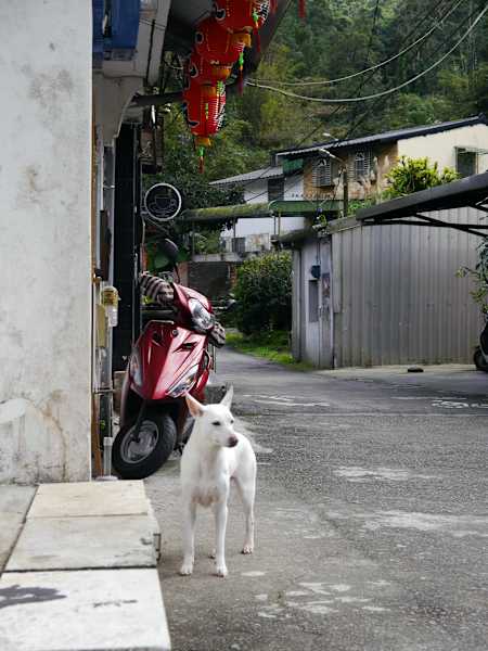 Taiwan Sandiaoling Waterfall Trail Martin Foszczynski