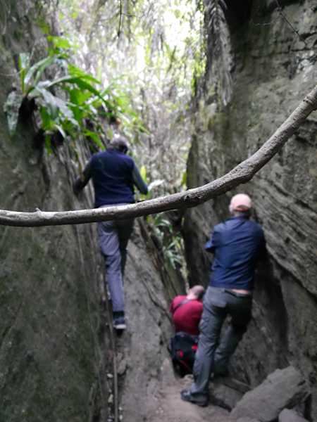 Luan Shan Forest Museum Taiwan Blog Martin Foszczynski