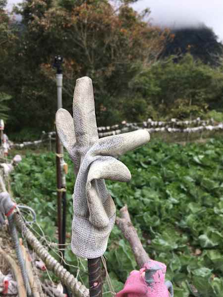 Foto-Galerie: Reise Taiwan