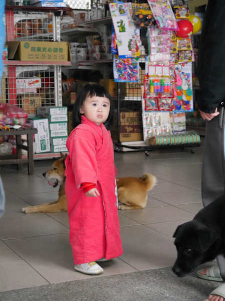 Foto-Galerie: Reise Taiwan