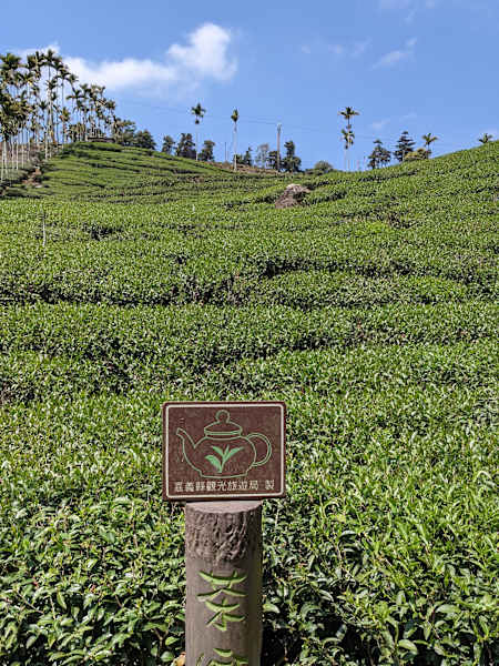 Taiwan Yushan Wandern