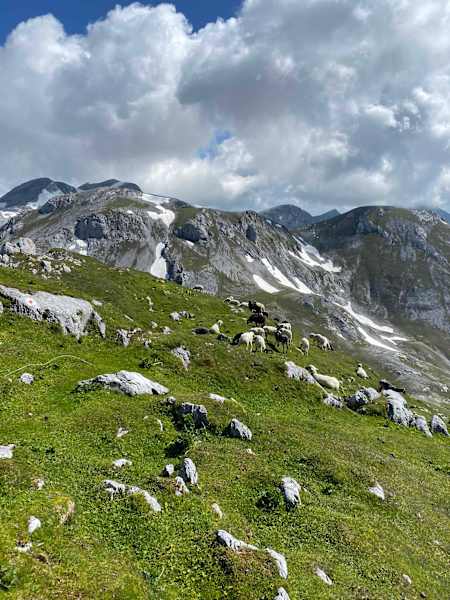 Wander-Tipp: 3-Gipfel-Tour zum Gläsernen Kreuz auf der Schartwand (2.339 m)