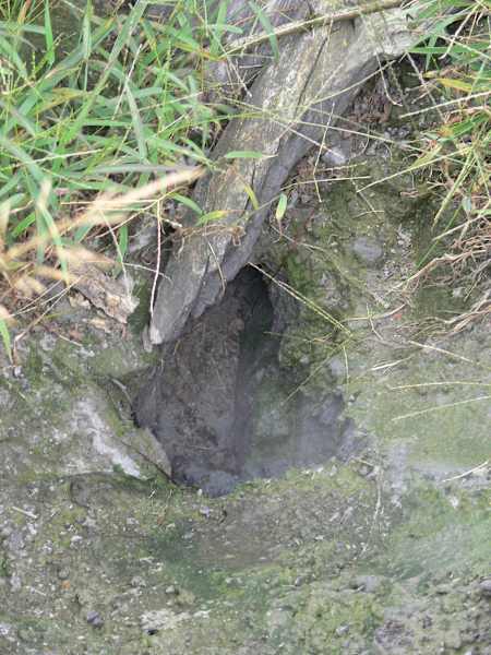 Sentier des Terrils in Belgien