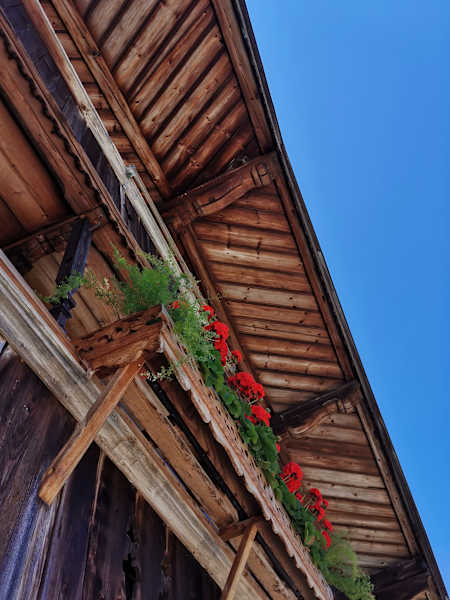 Rote Geranien auf den Balkonen des Weberhofs