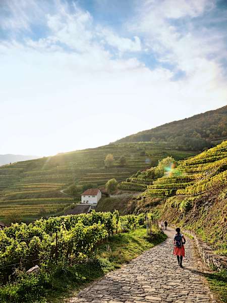 Welterbewanderweg Wachau