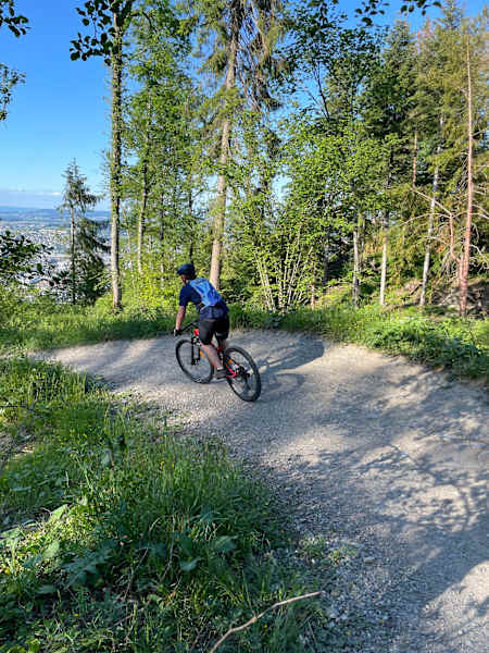 Der Antennentrail am Uetliberg