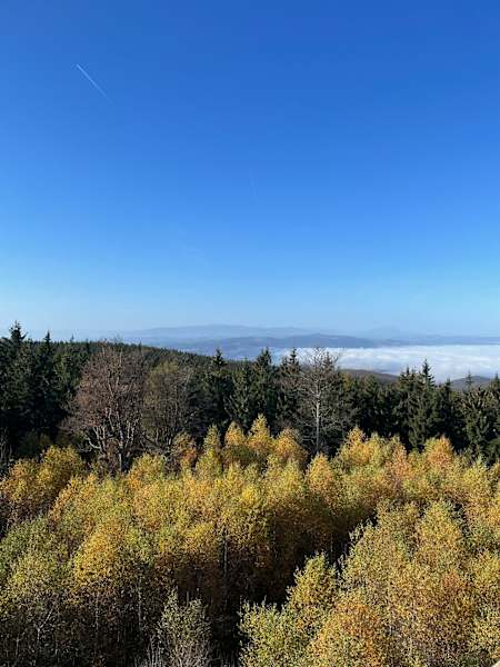 In der Ferne sind Schneeberg und Rax zu erkennen