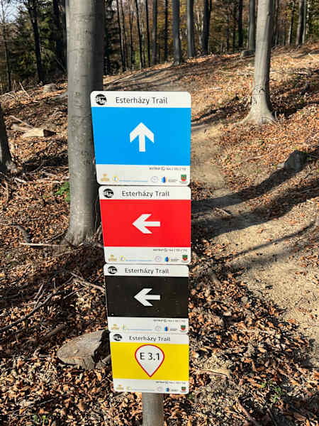 An manchen Stellen gabeln sich die Trails, man kann zwischen verschiedenen Schwierigkeitsstufen wählen