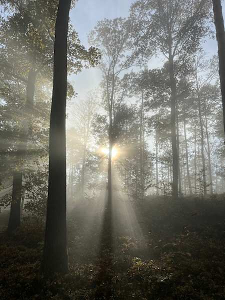 Herrliche Spätnachmittag-Stimmung im letzten Drittel des Esterházy Trails
