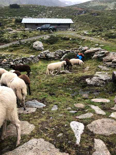 Bergwelten Produktionen