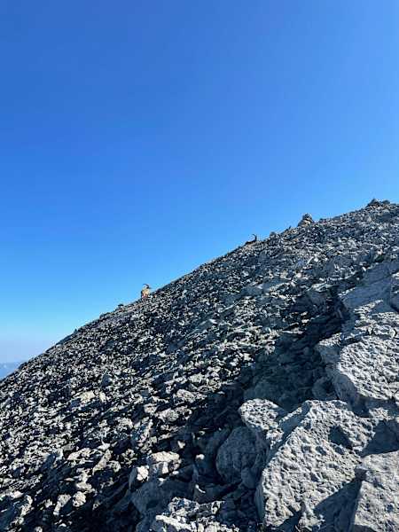 Bergwelten Hüttenwoche Achensee