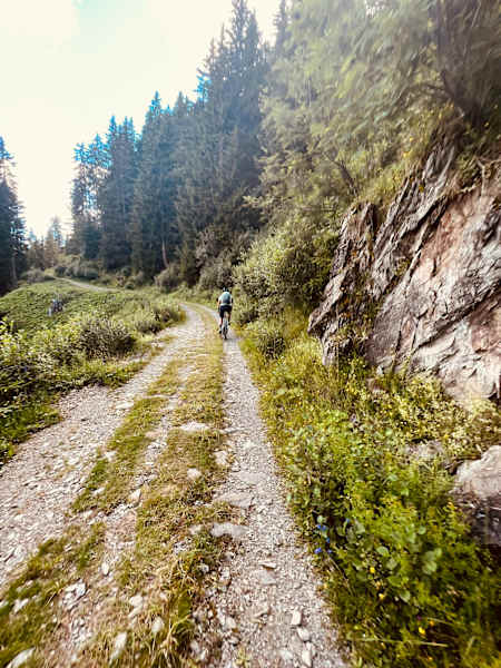 Wir pedalieren die Forststraße hoch