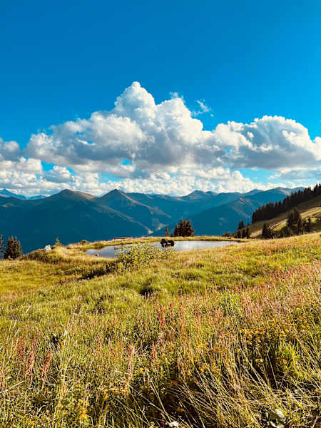 Herrliche Aussicht mit See