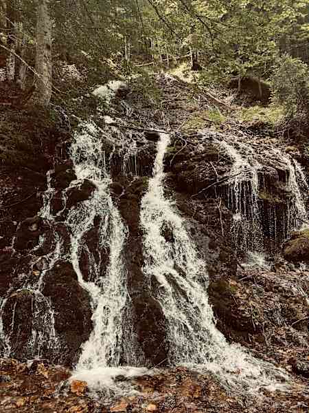 Der Schreiende Brunnen