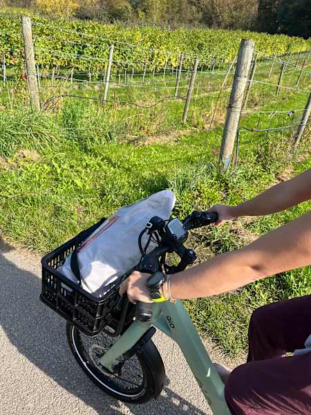 Das Kletterseil befördern wir im Korb