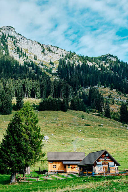 Die Kinkhütte ist Teil eines idyllischen Almdorfes mit dem Namen Hinteregger Alm, einer sogenannten Niedrigalm.
