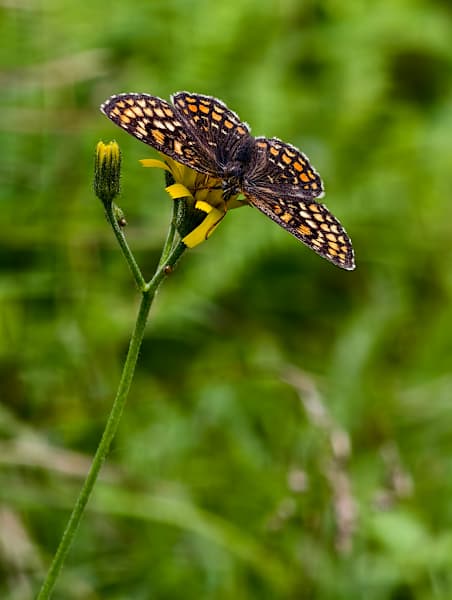 Bildbearbeitung, vivo X200 Pro, Fotografie, vivo, Bergwelten, Natur