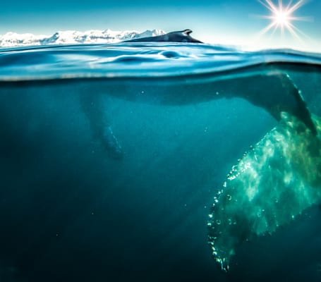 Polarmeer Fotostrecke