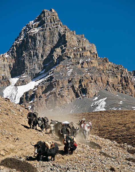 Bergwelten Himalaya Tyrolia