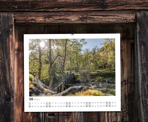 Bikefex Kalender