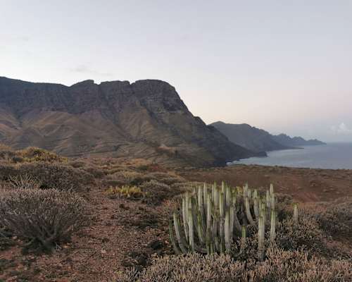 Weitwandern GR 131 Gran Canaria Christine Thürmer